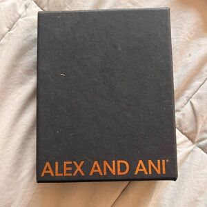 Alex and Ani Silver Bracelet with Charm
